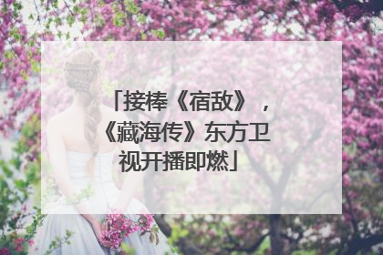 接棒《宿敌》，《藏海传》东方卫视开播即燃