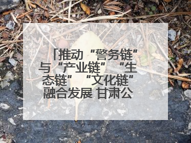 推动“警务链”与“产业链”“生态链”“文化链”融合发展 甘肃公安打造陇原旅游警务品牌