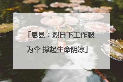 息县：烈日下工作服为伞 撑起生命阴凉