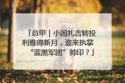 意甲｜小因扎吉转投利雅得新月，谁来执掌“蓝黑军团”帅印？