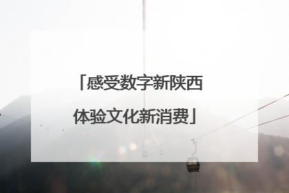 感受数字新陕西 体验文化新消费