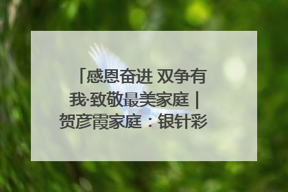 感恩奋进 双争有我·致敬最美家庭｜贺彦霞家庭：银针彩线绣出好日子