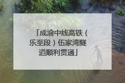 成渝中线高铁（乐至段）伍家湾隧道顺利贯通