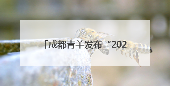 成都青羊发布“2025年城市机会清单” 220个机会等你来！