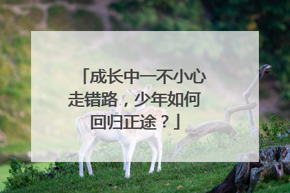成长中一不小心走错路，少年如何回归正途？