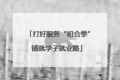 打好服务“组合拳” 铺就学子就业路