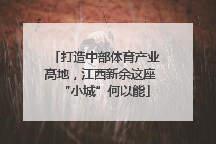 打造中部体育产业高地，江西新余这座“小城”何以能