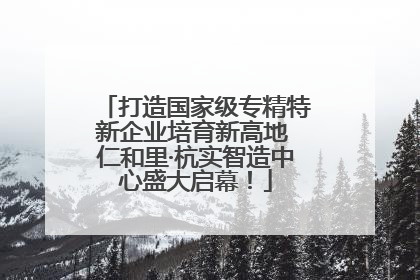 打造国家级专精特新企业培育新高地 仁和里·杭实智造中心盛大启幕！