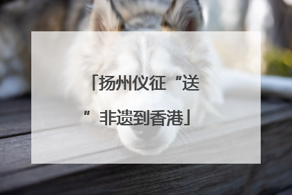 扬州仪征“送”非遗到香港