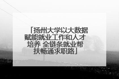 扬州大学以大数据赋能就业工作和人才培养 全链条就业帮扶畅通求职路