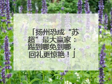 扬州恐成“苏超”最大赢家：踢到哪免到哪，回礼更惊艳！