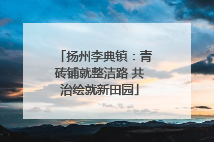 扬州李典镇：青砖铺就整洁路 共治绘就新田园