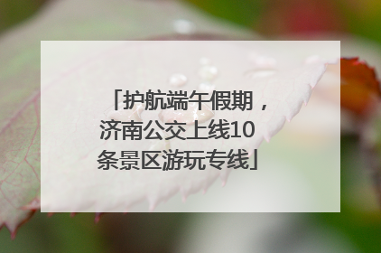 护航端午假期，济南公交上线10条景区游玩专线
