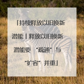 持续释放以旧换新潜能丨释放以旧换新潜能要 “疏通”与“扩容”并重