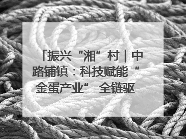 振兴“湘”村｜中路铺镇：科技赋能“金蛋产业” 全链驱动乡村振兴