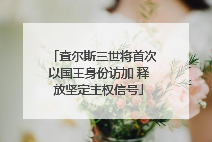 查尔斯三世将首次以国王身份访加 释放坚定主权信号
