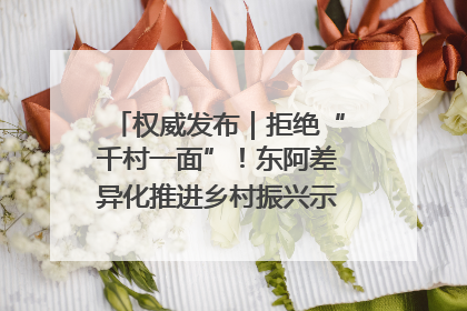 权威发布｜拒绝“千村一面”！东阿差异化推进乡村振兴示范片区建设