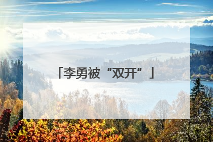 李勇被“双开”