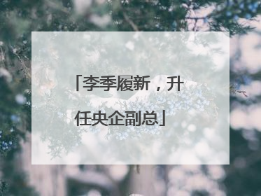 李季履新，升任央企副总