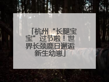 杭州“长腿宝宝”过节啦！世界长颈鹿日邂逅新生幼崽