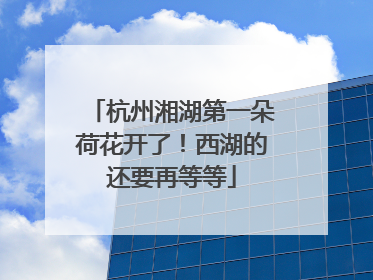杭州湘湖第一朵荷花开了！西湖的还要再等等