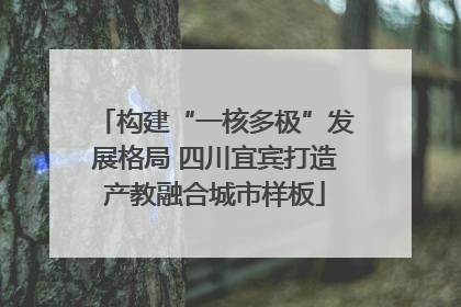 构建“一核多极”发展格局 四川宜宾打造产教融合城市样板