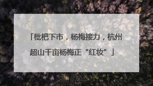 枇杷下市，杨梅接力，杭州超山千亩杨梅正“红妆”