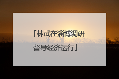 林武在淄博调研督导经济运行
