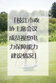 枝江市政协主席会议成员视察电力保障能力建设情况