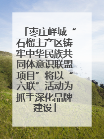 枣庄峄城“石榴主产区铸牢中华民族共同体意识联盟项目”将以“六联”活动为抓手深化品牌建设