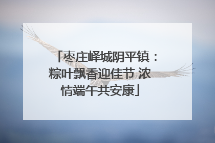 枣庄峄城阴平镇：粽叶飘香迎佳节 浓情端午共安康