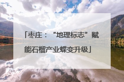 枣庄：“地理标志”赋能石榴产业蝶变升级