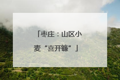 枣庄：山区小麦“喜开镰”