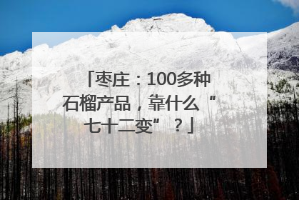 枣庄：100多种石榴产品，靠什么“七十二变”？