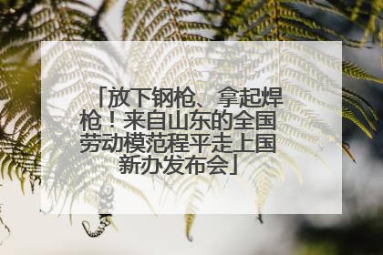放下钢枪、拿起焊枪！来自山东的全国劳动模范程平走上国新办发布会