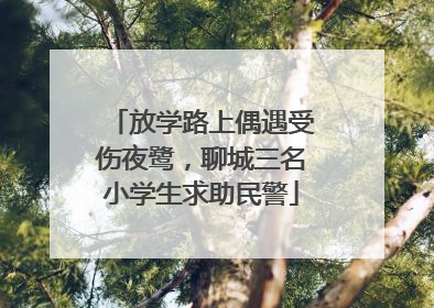 放学路上偶遇受伤夜鹭，聊城三名小学生求助民警