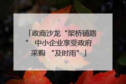 政商沙龙“架桥铺路” 中小企业享受政府采购 “及时雨”