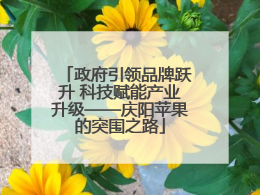 政府引领品牌跃升 科技赋能产业升级——庆阳苹果的突围之路