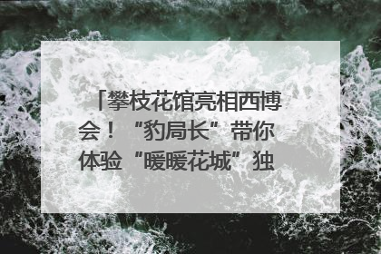 攀枝花馆亮相西博会！“豹局长”带你体验“暖暖花城”独特魅力｜西博视界