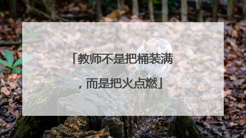 教师不是把桶装满，而是把火点燃
