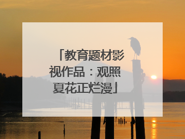 教育题材影视作品：观照夏花正烂漫