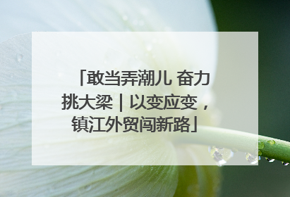 敢当弄潮儿 奋力挑大梁｜以变应变，镇江外贸闯新路