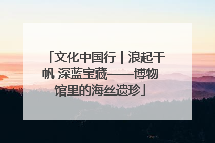 文化中国行｜浪起千帆 深蓝宝藏——博物馆里的海丝遗珍
