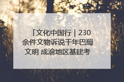 文化中国行｜230余件文物诉说千年巴蜀文明 成渝地区基建考古成果展开展