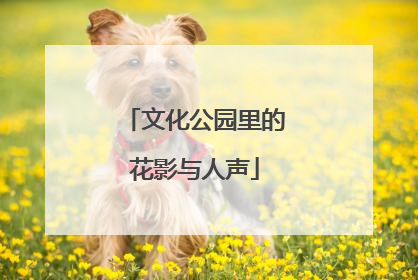 文化公园里的花影与人声