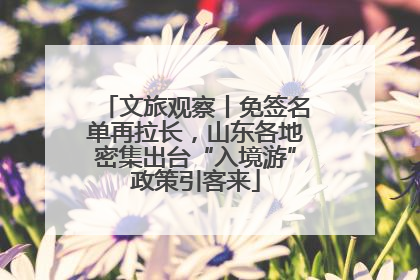 文旅观察丨免签名单再拉长，山东各地密集出台“入境游”政策引客来