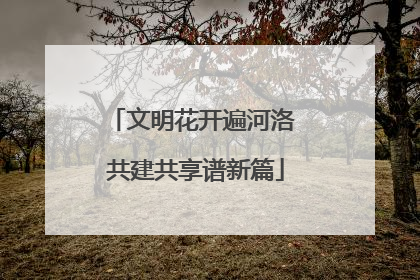 文明花开遍河洛 共建共享谱新篇