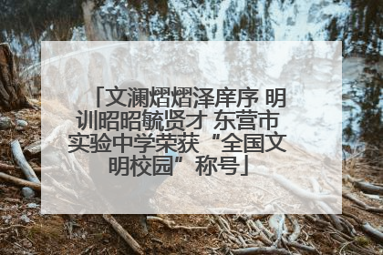 文澜熠熠泽庠序 明训昭昭毓贤才 东营市实验中学荣获“全国文明校园”称号