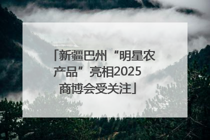 新疆巴州“明星农产品”亮相2025商博会受关注