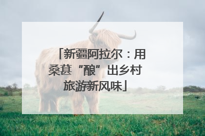 新疆阿拉尔：用桑葚“酿”出乡村旅游新风味
